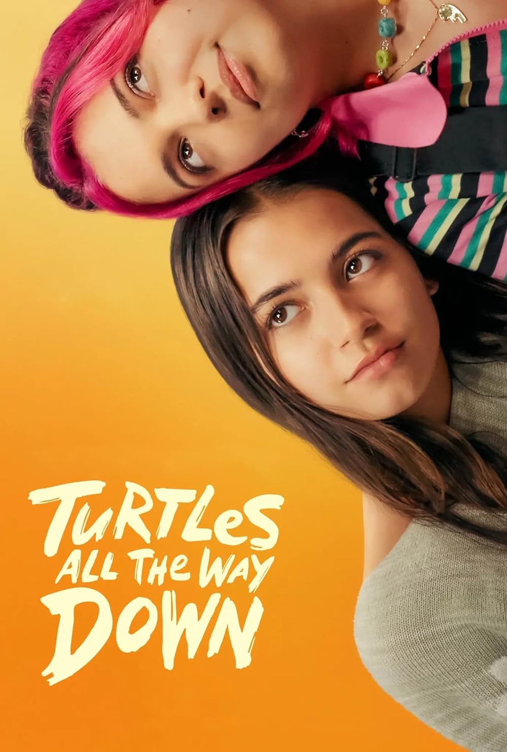 Movie: Turtles All The Way Down (2024)