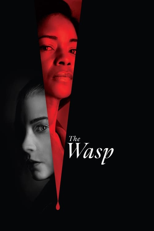 The Wasp (2024) Mp4 Download